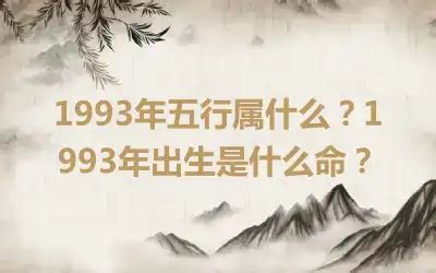 1993五行属什么